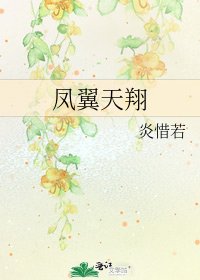 凤翼天翔