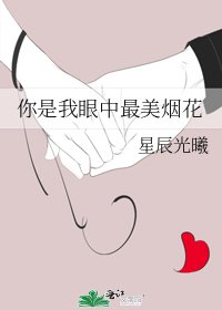 你是我眼中最美煙花
