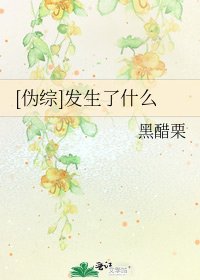 [伪综]发生了什么